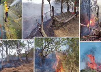 Incendios forestales van en aumento