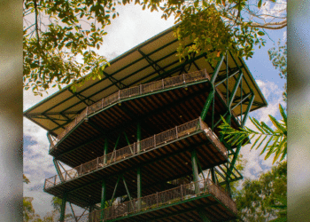 Abrirán nuevo centro ambiental en Caicedonia