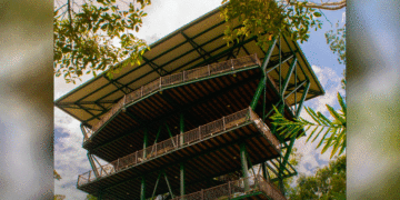 Abrirán nuevo centro ambiental en Caicedonia