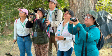 Avistamiento atrajo a cerca de 200 expertos y amantes de la naturaleza en Guacarí 