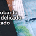 No es una simple pelea de perros y gatos; agobardo en delicado estado