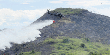 Aumentan los incendios forestales; las amenazas son altas temperaturas y vientos