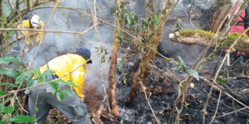 Declararían calamidad pública ante el incremento de los incendios en el Valle del Cauca