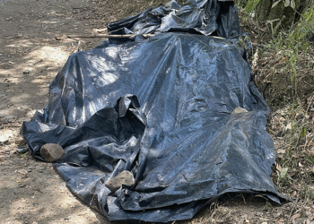 Mujer que asesinaron el miércoles y su cadáver sigue en la vía