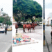 Caballeriza urbana; los caballos siguen de paseo por la ciudad