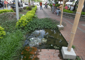 Peligro en tiempos del dengue en el parque lineal Céspedes
