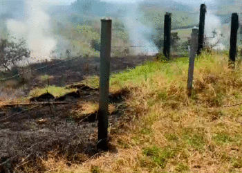 Susto en Tuluá por incendio forestal en potreros de la vereda El Diamante