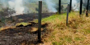 Susto en Tuluá por incendio forestal en potreros de la vereda El Diamante
