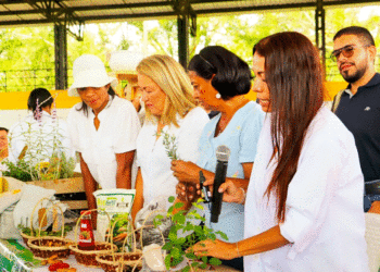 Campesinos reciben insumos; los recursos beneficiarán a 19 asociaciones del Valle del Cauca