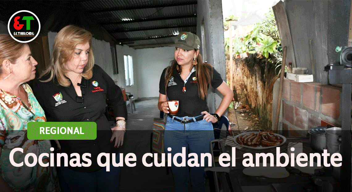 Se busca aminorar el impacto de los fogones de leña en los ecosistemas ambientales