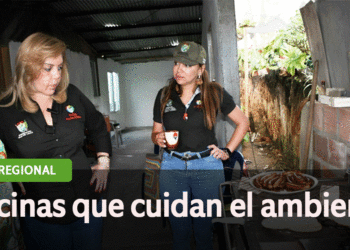 Se busca aminorar el impacto de los fogones de leña en los ecosistemas ambientales