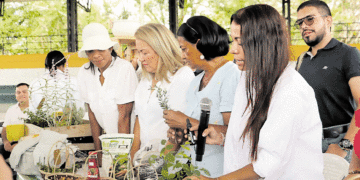 Campesinos reciben insumos; recursos beneficiarán a 19 asociaciones del Valle del Cauca