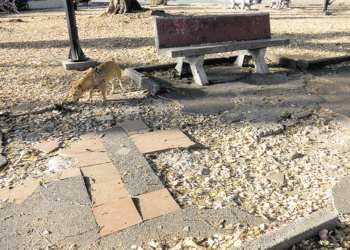 Qué pasa con el civismo en el Popular