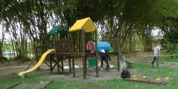 El Parque de la Guadua, pulmón turístico que se renueva