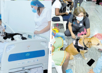Pecas y Zeta, los perros que sanan en el hospital Tomás Uribe Uribe