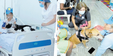 Pecas y Zeta, los perros que sanan en el hospital Tomás Uribe Uribe