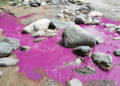 El río Tuluá se tiñó de rojo