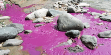 El río Tuluá se tiñó de rojo