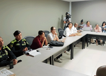 El 25 de noviembre se conmemoró el Día Internacional de la No Violencia contra las mujeres