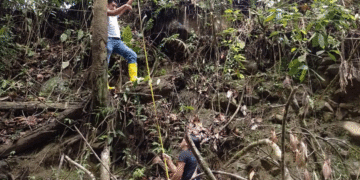Evalúan riesgos en la zona rural del municipio de Buga tras alertas generadas por el incremento de las lluvias