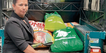 Gobernación del Valle fortalece albergues