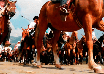 Ordenaanza genera polémica; el documento pasó a sanción de la gobernadora Clara Luz Roldán