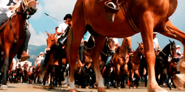 Ordenaanza genera polémica; el documento pasó a sanción de la gobernadora Clara Luz Roldán