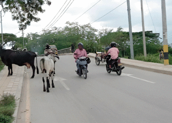 La mala educación vial sigue en aumento en la zona urbana de Tuluá