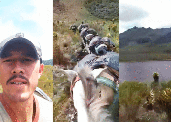 ¡Qué esfuerzo y qué grandes son nuestros campesinos!