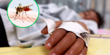 Tuluá confirma los dos primeros fallecidos por dengue; alerta roja en el Valle del Cauca