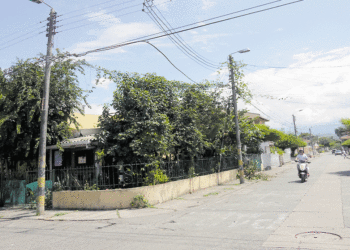 ¡Increíble! la maracuyá, fruta de la pasión, se apodera de las redes