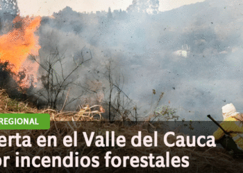 En el departamento hay siete municipios en alto riesgo