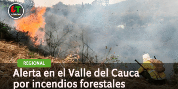 En el departamento hay siete municipios en alto riesgo