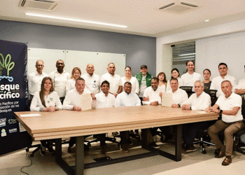 Baja el tráfico de madera; la reducción alcanza el 90 y el 95% en los tres departarnentos