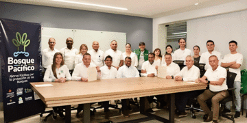 Baja el tráfico de madera; la reducción alcanza el 90 y el 95% en los tres departarnentos