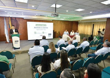 El trabajo ambiental dejó buenos resultados en el 2023