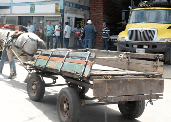 No más carretillas en la zona céntrica en la Ciudad Señora