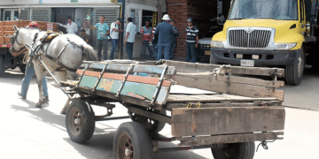 No más carretillas en la zona céntrica en la Ciudad Señora