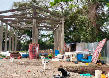 Predio para bienestar animal en Andalucía