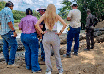 Revisan muelle del río Cauca en Guacarí