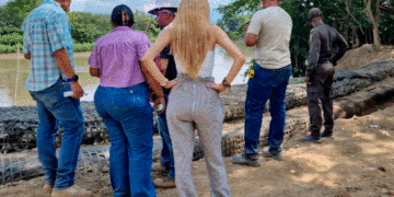 Revisan muelle del río Cauca en Guacarí