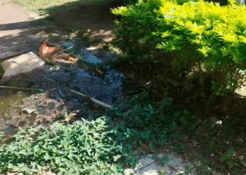 Un mal olor en la biblioteca; el hueco que adorna uno de los andenes del parque lineal Céspedes