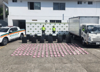 En más de $400 millones de pesos, valorada droga incautada