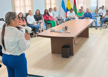 Creado Comité de Norma Urbana 