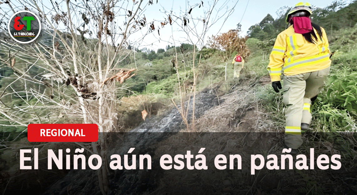 Los incendios forestales son la otra amenaza para la región