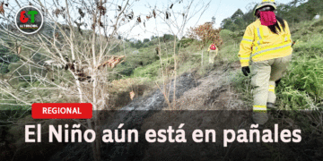 Los incendios forestales son la otra amenaza para la región