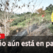 Los incendios forestales son la otra amenaza para la región