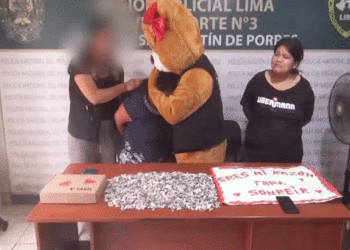 Video: en pleno San Valentín, policía se disfrazó de oso para capturar a un delincuente