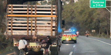 Irresponsabilidad ciudadana vs negligencia de la autoridad