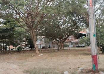 Los habitantes del barrio Buenos Aires piden que los tenganen cuenta